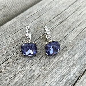 925 Silver Earrings